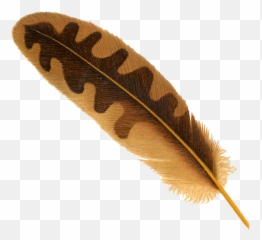 Quill Pen Transparent Png Clipart - Feather Images With Backgrounds