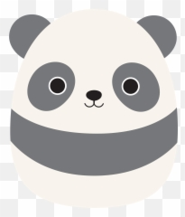 Pj - Squishmallows Grey Panda Name png