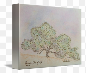 Tree Of Life By Isabela Macavei - png