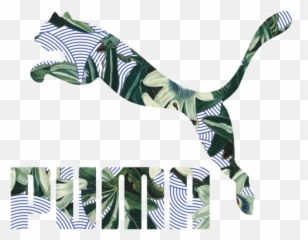 Ss 16 Puma Womens Flower Graphic Story U2014 The Kind Paper Studio Png