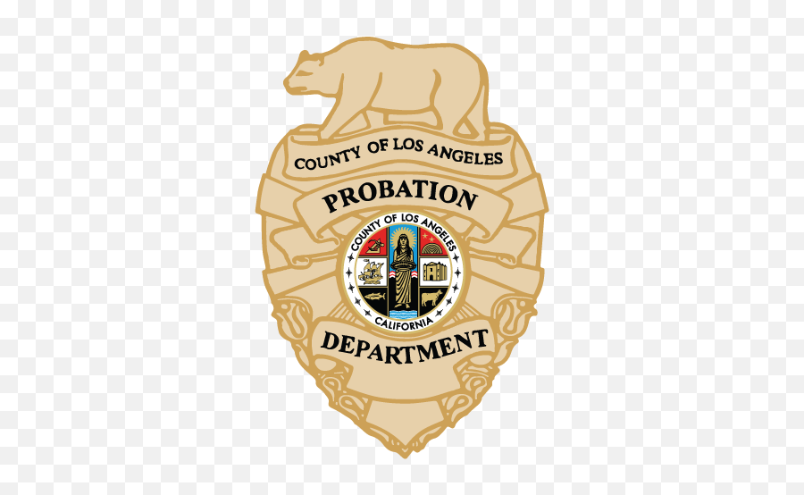 2016 - 2021 Probation Commission U2013 Probation Png,Vacant Icon