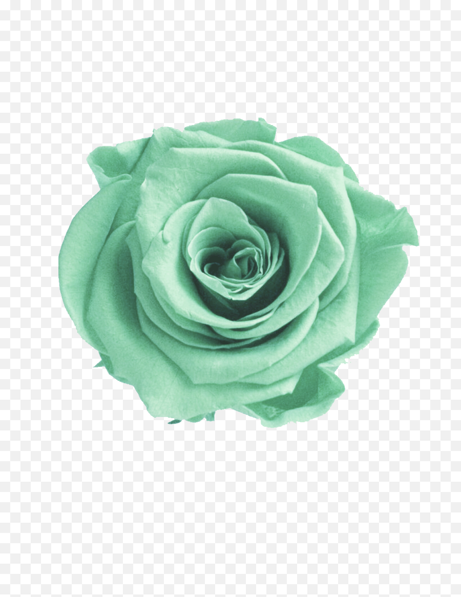 Mint Green Png U0026 Free Greenpng Transparent Images - Green Flower Png,Pastel Flowers Png