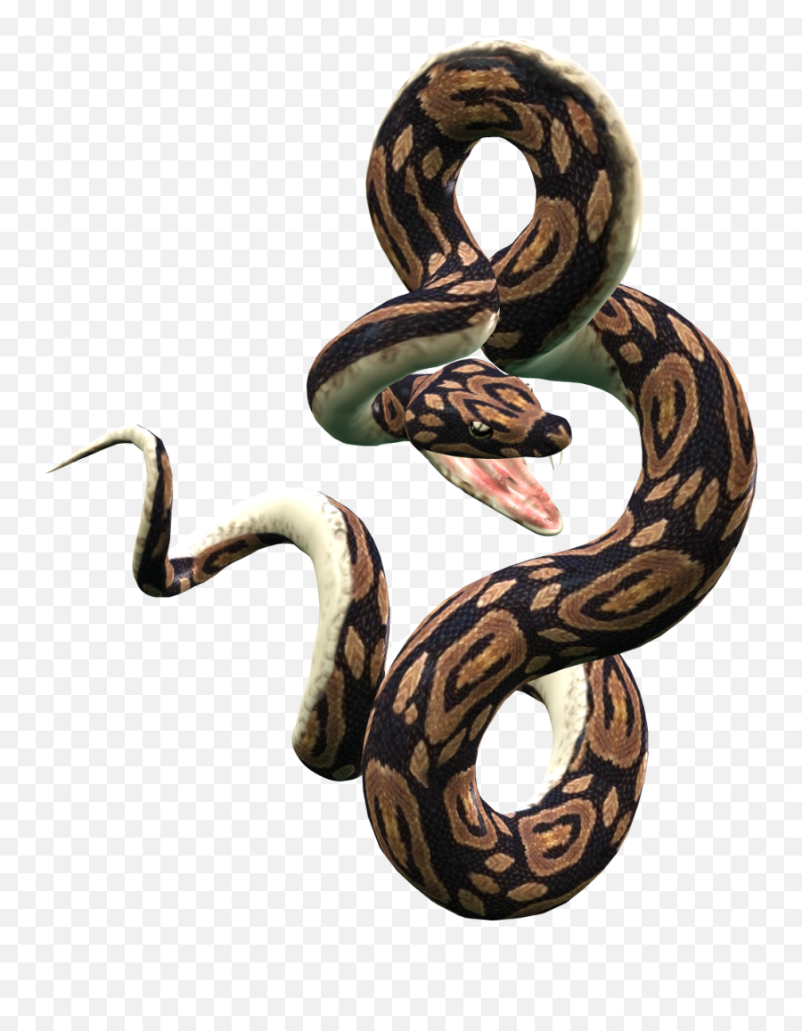 Python Snake Png Transparent - Snake Png,Snake Transparent Background
