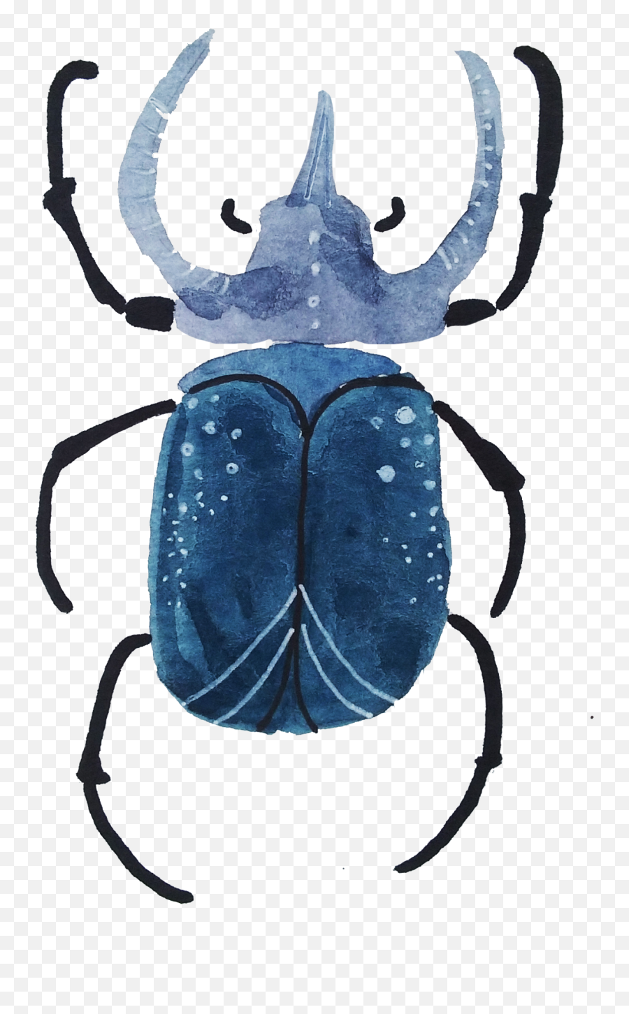 Download With Both Watercolors And Gouache - Dung Beetle Dung Beetle Png,Beetle Png