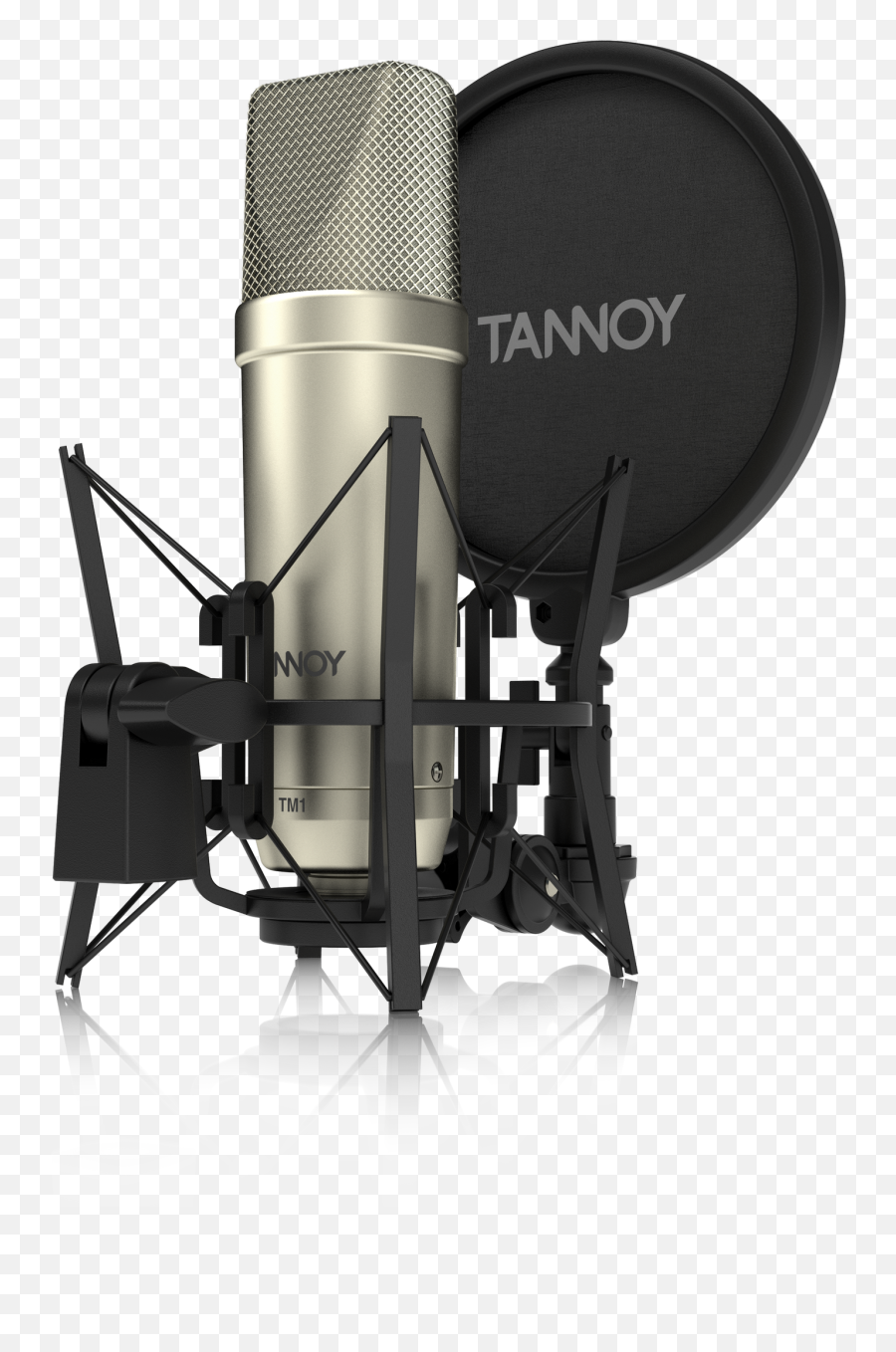 Transparent Mic Recording U0026 Png Clipart Free - Tm1 Tannoy Microphone Condenser,Microphone Transparent