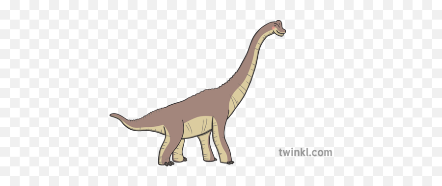 Brachiosaurus 2 Illustration - Velociraptor Png,Brachiosaurus Png