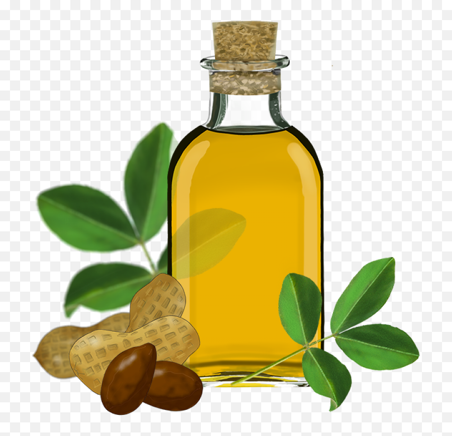 Sunflower Oil Clipart With Nuts Png Image - Purepng Free Transparent Background Olive Oil Png,Nuts Png