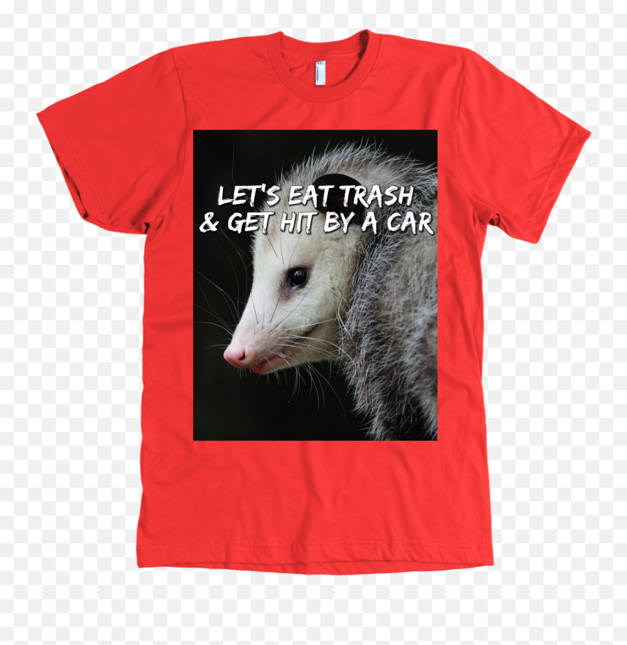 Download Hd Lgfuapd Opossum - Tshirt Transparent Png Image Common Opossum,Opossum Png