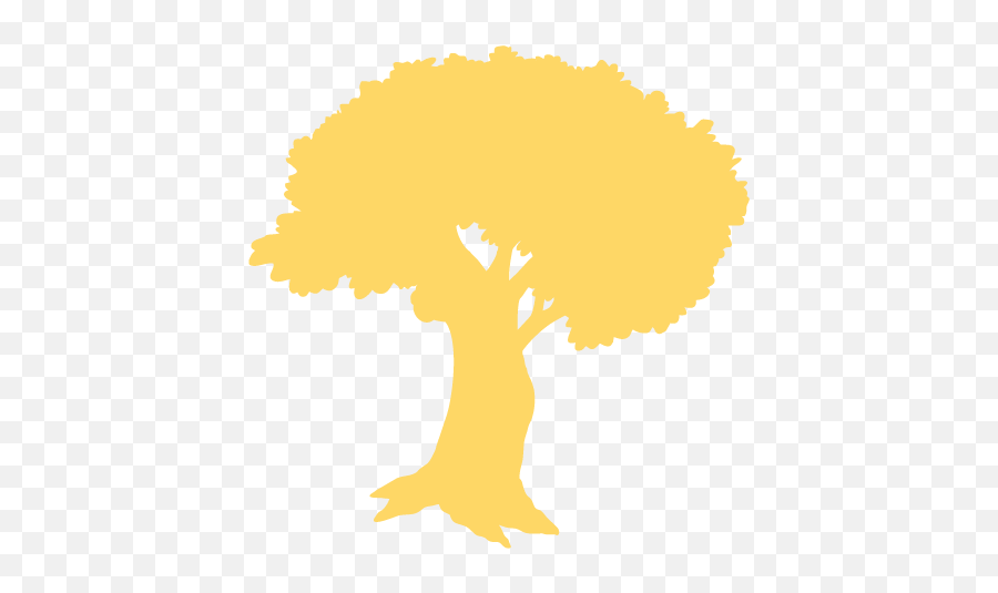 Porta Aberta Ciências Humanas E Da Natureza 1º Ano - Tree Png,Palabra Miel Logos