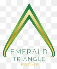 Logo Design - Triangle png