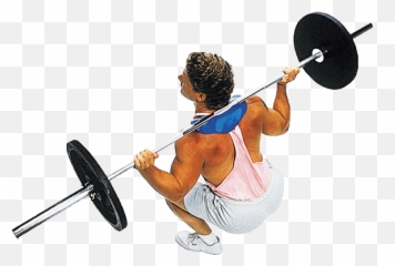 Manta - Ray Squat Attachment Manta Ray Squat Png,Squat Png