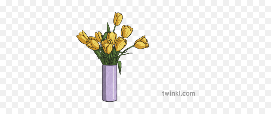 Vase Of Tulips Illustration - Twinkl Cylinder Png,Tulips Png