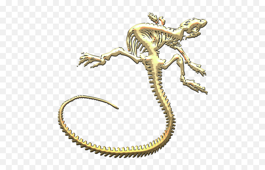 Iguana Skeleton In Gold - Lizard Skeleton Transparent Png,Iguana Transparent Background
