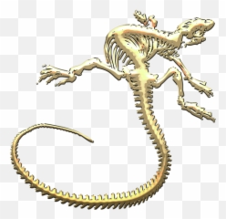Iguana Skeleton In Gold Red Greeting Card - Lizard Transparent png