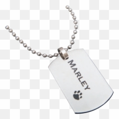Pr112 Dog Tag Necklace - Mm Ball Chain Png,Dog Tag Png