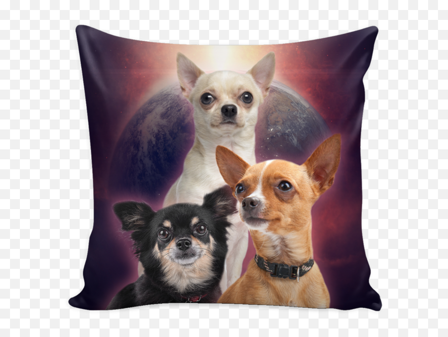 Chihuahua Throw Pillows U2013 Brave New Look - Australian With South African Roots Png,Chihuahua Png