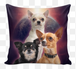 Chihuahua Throw Pillows U2013 Brave New Look - Australian With South African Roots Png,Chihuahua Png