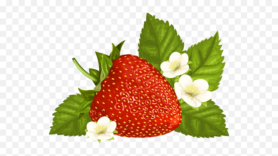 Strawberry Png Clipart Image Frutas Pinturas - Clipart Strawberry Transparent Background,Strawberries Transparent Background
