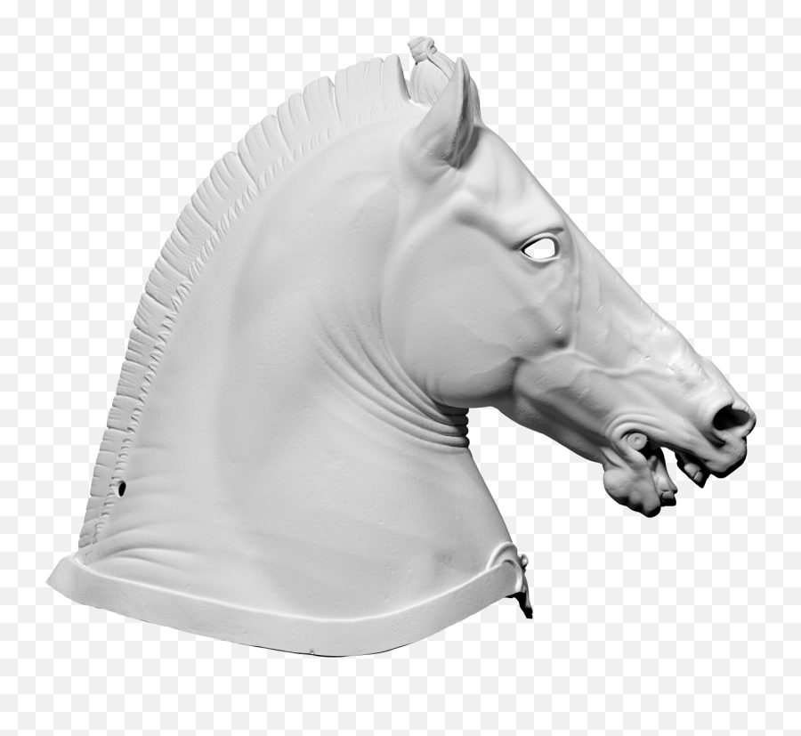 Download 3d Scan Of Horse Head - Horse Head Mane 3d Png,Horse Head Png