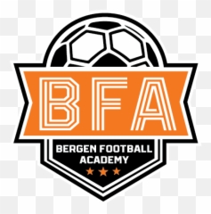 Bfa Nike Park Vii Practice Jersey - Orange Rossfeld Panorama Strasse png