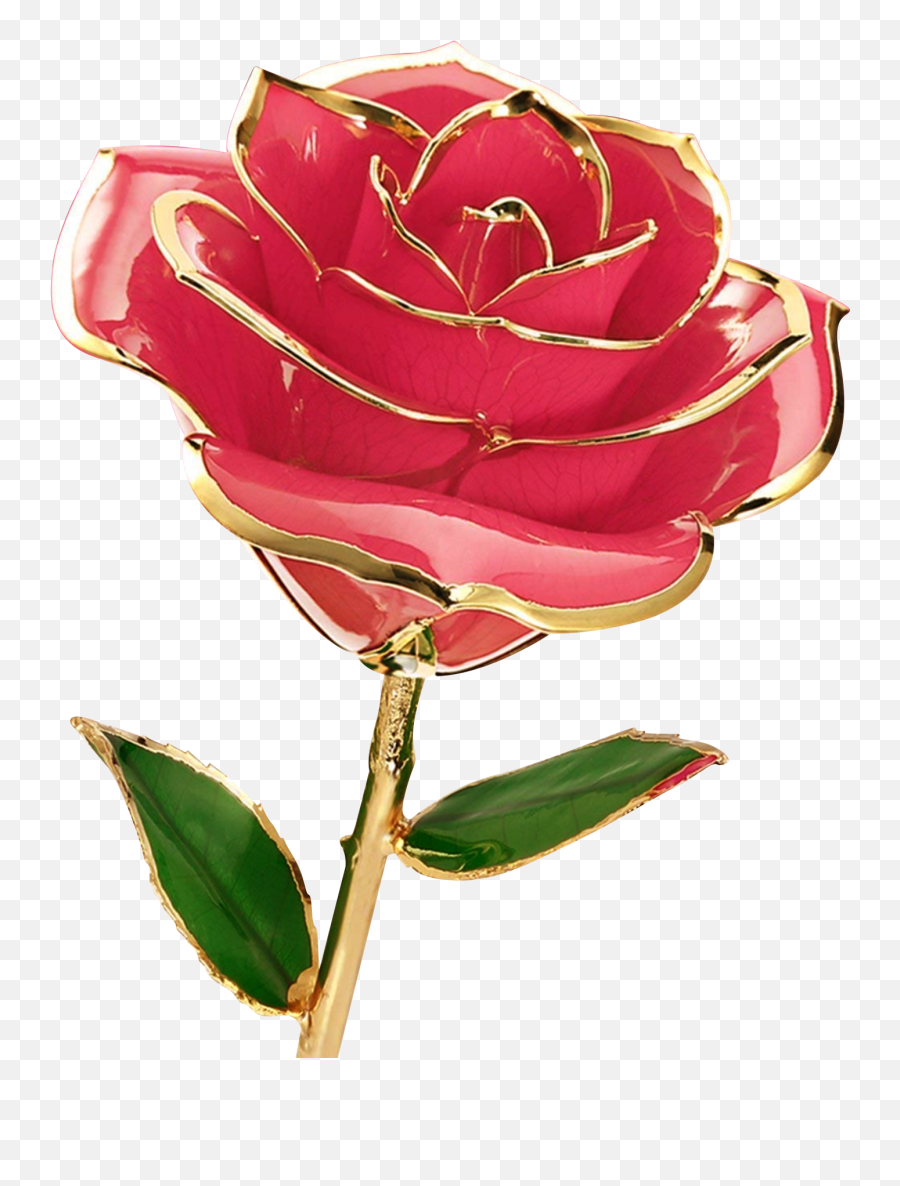 Rose Flower Png Images Free Download Searchpngcom - Rose Flower Images Download,Rose Png Hd