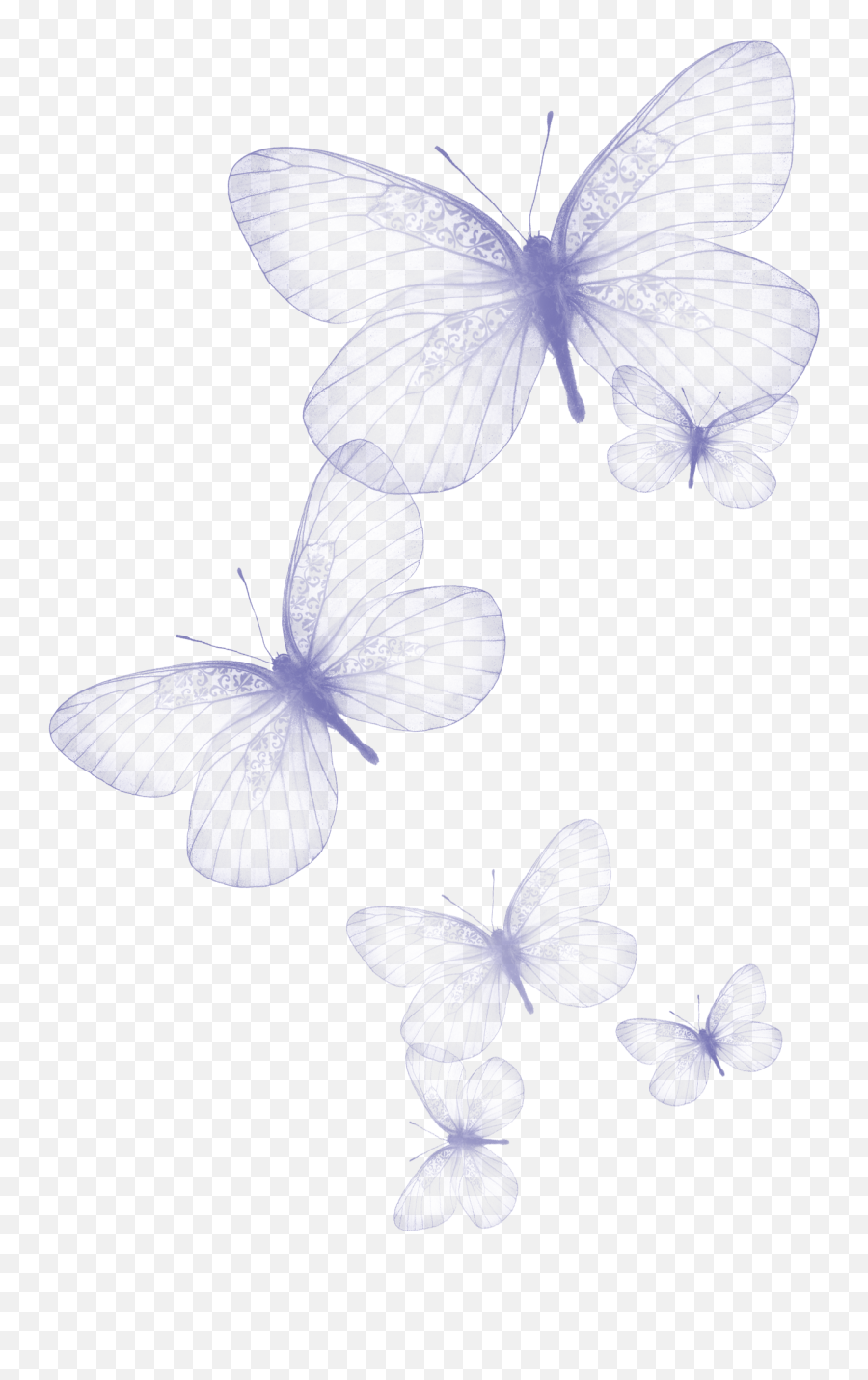 Transparent Butterflies Png - Transparent Background Butterflies Clipart,Butterfly Transparent Png