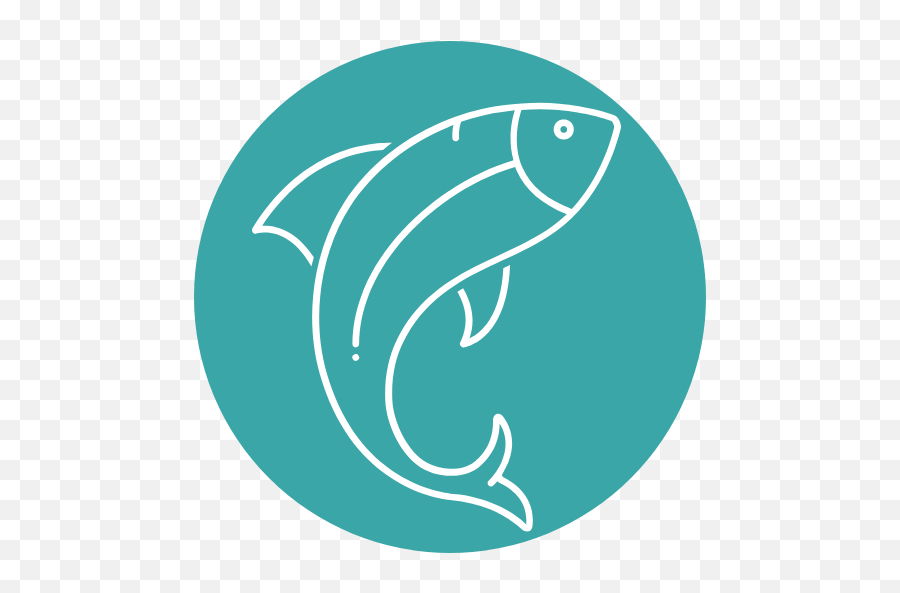 About Me - Fishbasics Fish Png,All About Me Icon