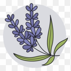Perfumes - Floral png