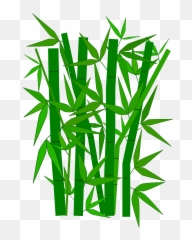 Jungle Tree Clipart Clipartmonk - Free Art Images Bamboo Tree png