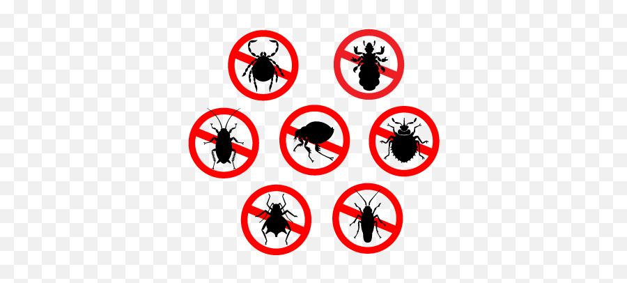 Residential Pest Control Termite Longview Tx - Household Pests Png,Pest Icon