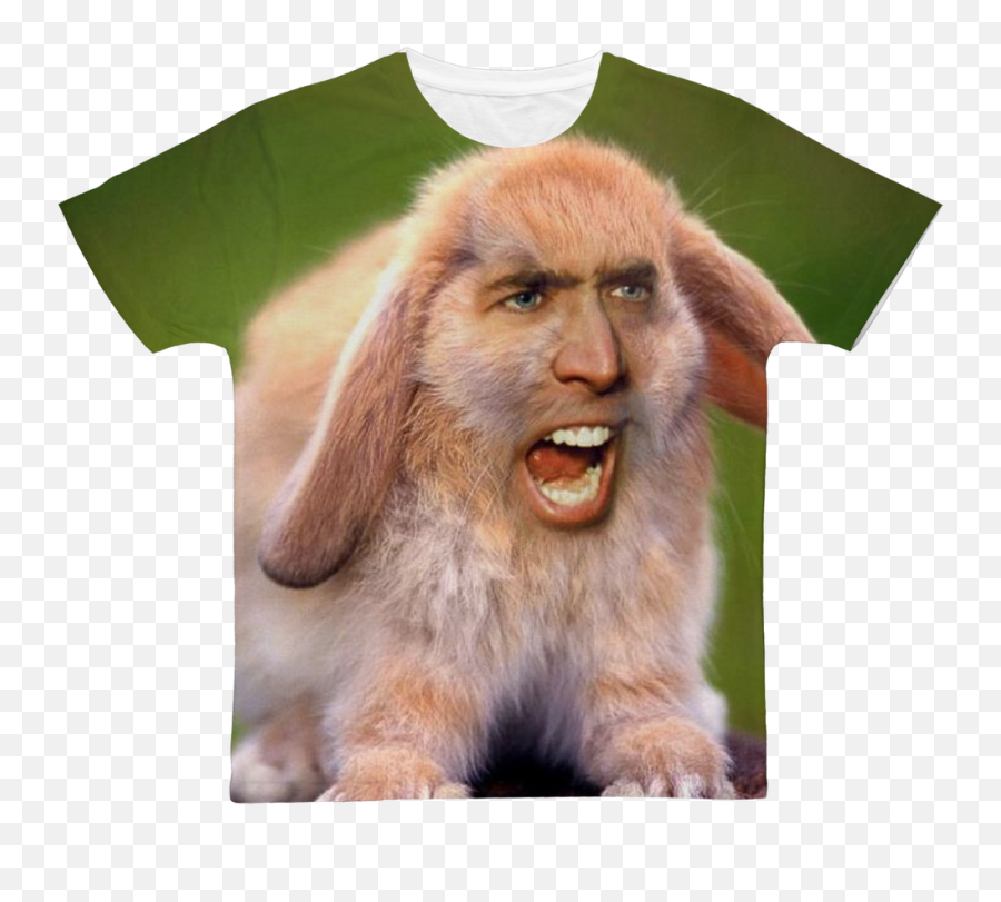 Nicolas Cageu0027s Face - Shirt Nicolas Cage Rabbit Png,Nicolas Cage Png