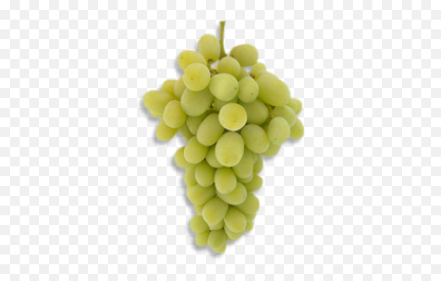 Download Green Grapes Png Pic - Grape Full Size Png Image Anggur Autumn King,Grapes Png