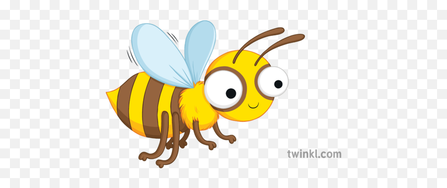 Cartoon Bee English Insect Secondary Illustration - Twinkl Honeybee Png,Cartoon Bee Png