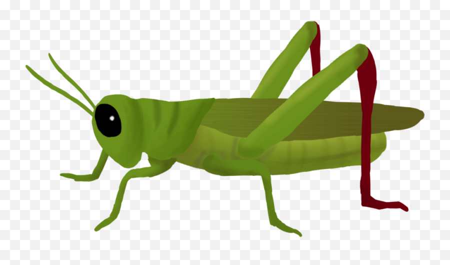 Vector Mantis Transparent Png Clipart - Grasshopper Png,Mantis Png