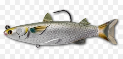 Live Target Mullet Swimbait 120mm - Mullet Lures Png,Mullet Png