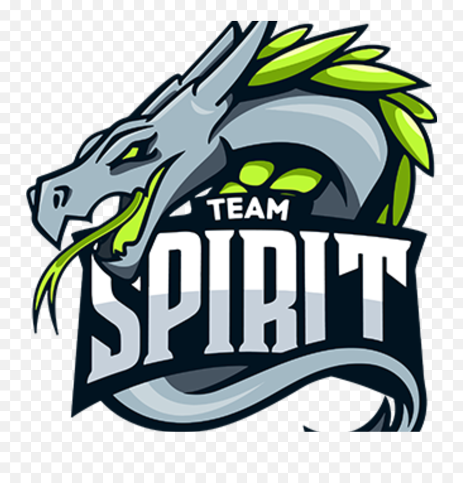 Team Spirit Pubg - Pubgstarladdercom Spirit Clan Fortnite Png,Pubg Logo