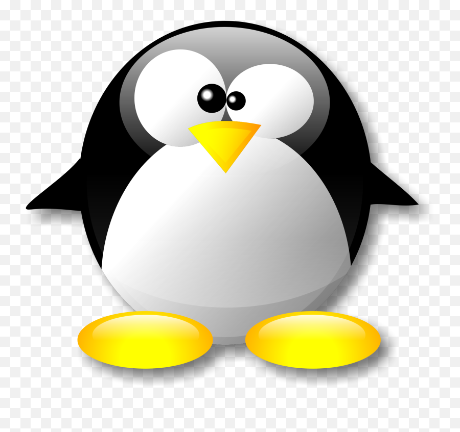 Download - Linux Penguin Png,Penguin Png