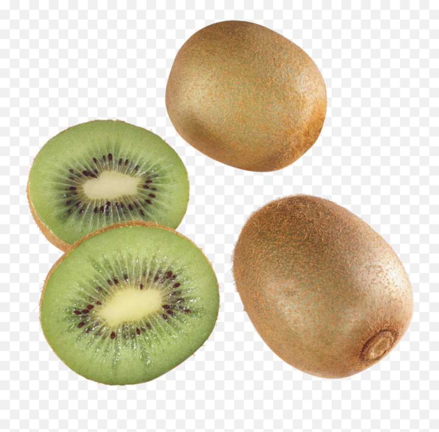 Kiwi Png Image - Transparent Background Kiwi Tree Png,Kiwi Transparent