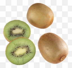 Kiwi Png Image - Transparent Background Kiwi Tree Png,Kiwi Transparent
