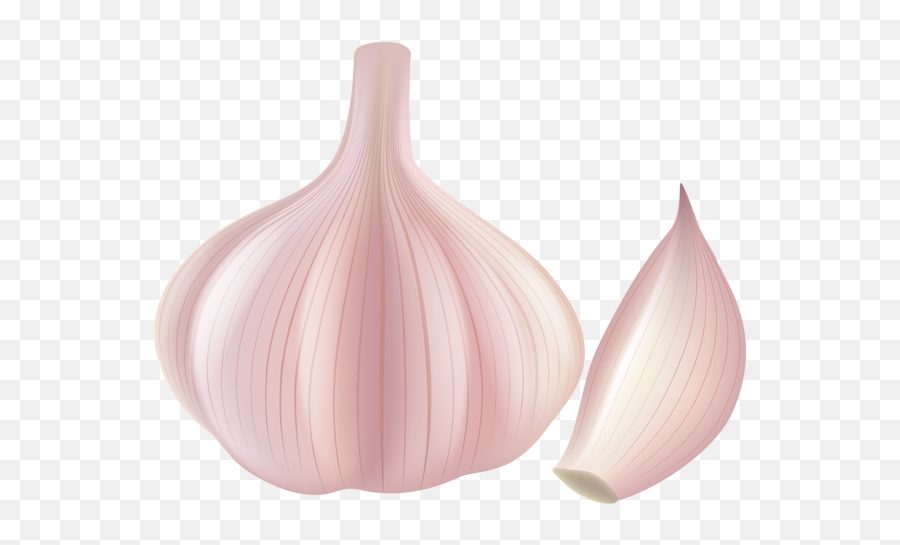 Red Onion Clipart Png Image - Clip Art Garlic Png,Onion Transparent Background