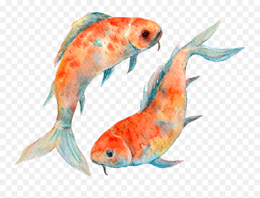 Koi Png 6 Format - Astrology Zodiac Signs Animals,Koi Png