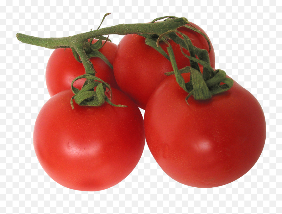 Tomato Png Image Without Background Web Icons - Transparent Background Tomatoes Png,Tomato Png