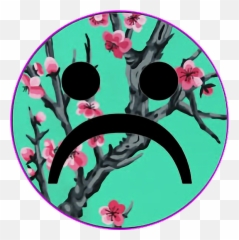Sadboys Sadboy Arizonatea Aesthetic - Hotel In Minsk Yung Lean Png,Arizona Iced Tea Png