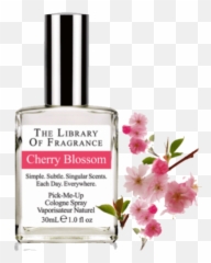 Cherry Blossom 30 Ml - Perfume Png,Sakura Petals Png