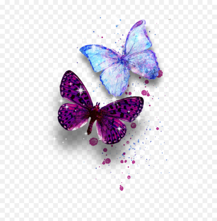 Butterfly Butterflywings Sticker - Transparent Background Pink Watercolor Butterfly Png,Watercolor Butterfly Png