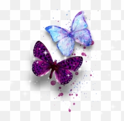 Butterfly Butterflywings Sticker - Transparent Background Pink Watercolor Png