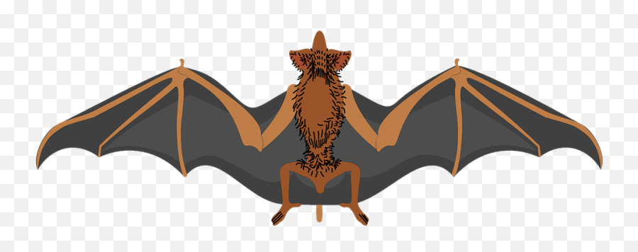 Bat Spread Wings - Logo Sayap Kelelawar Brigez Png,Bat Wings Png