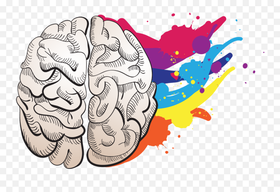 Picture - Transparent Creative Brain Png,Cartoon Brain Png