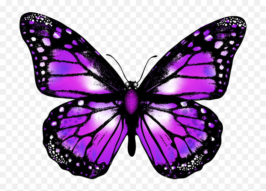 Butterfly Png Vector Image Transparent - Transparent Background Butterfly Png,Butterfly Png Transparent