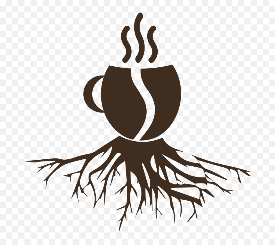 Hidden Meaning Of The Starbucks Logo - Silhouette Tree Roots Png,Images Of Starbucks Logo